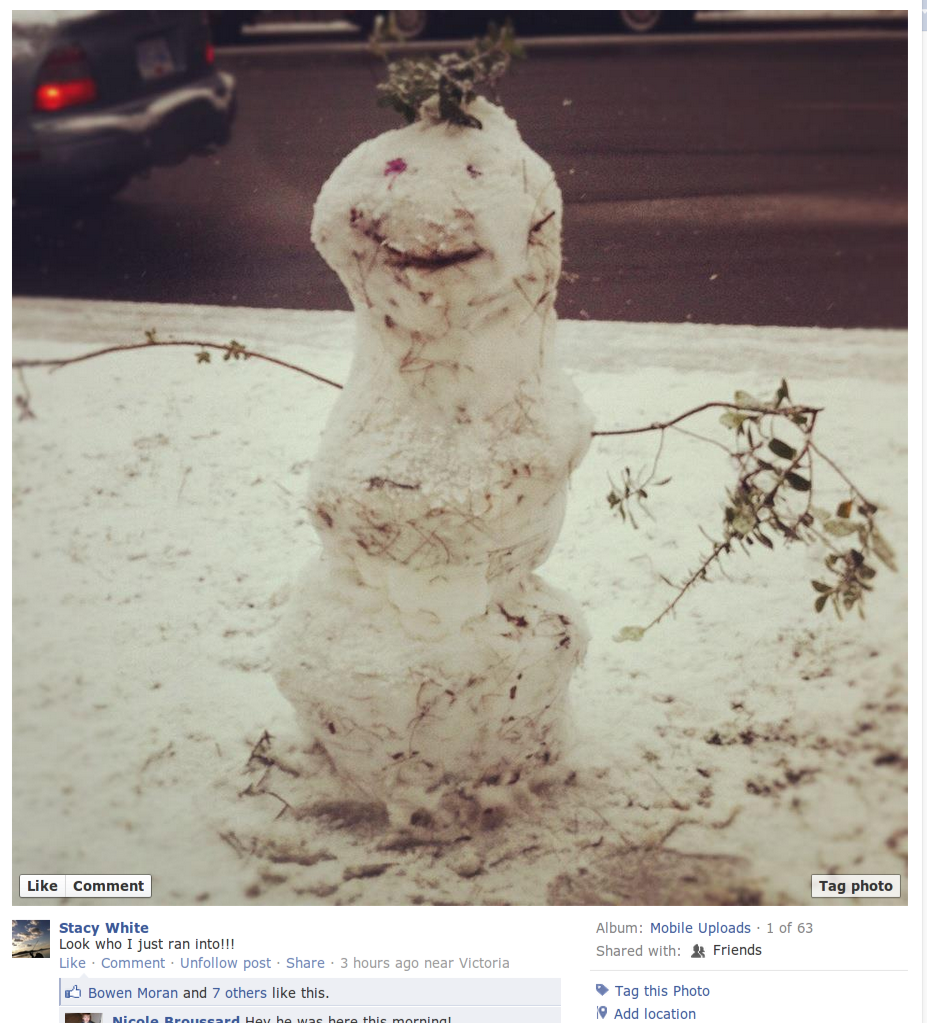 snowman snowman