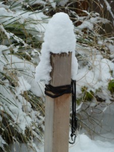 Hammock post covered in snow Hammock post covered in snow
