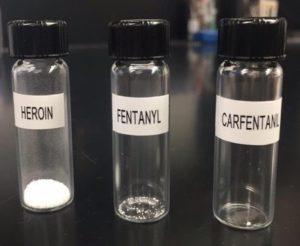 Comparison of estimated lethal doses of heroin, fentanyl and carfentanil